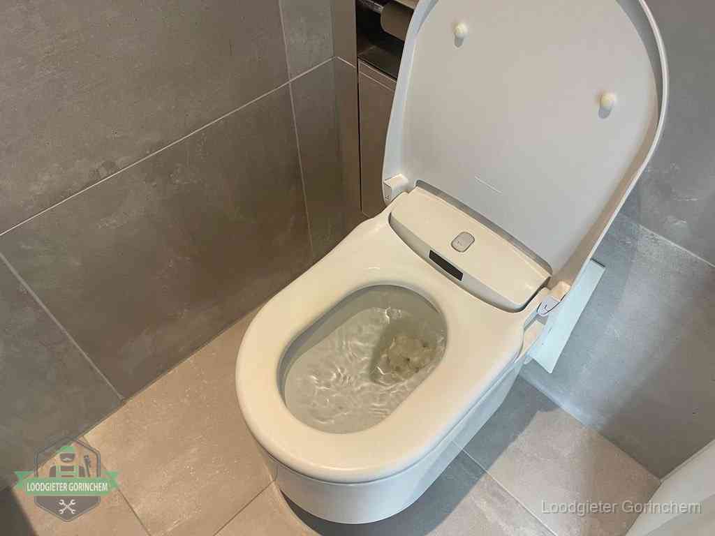 Wc Verstopt In Gorinchem Wc Verstopt In Gorinchem